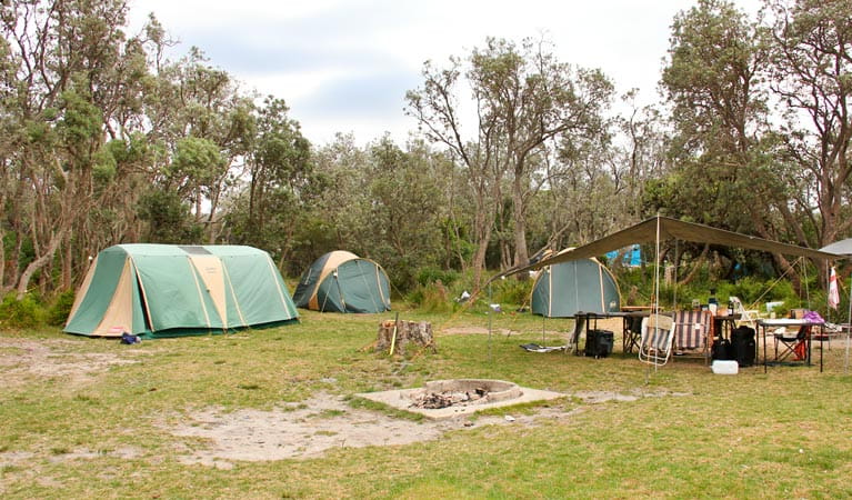Picnic Point Campground, Mimosa Rocks National Park. Photo: John Yurasek Copyright: NSW Government