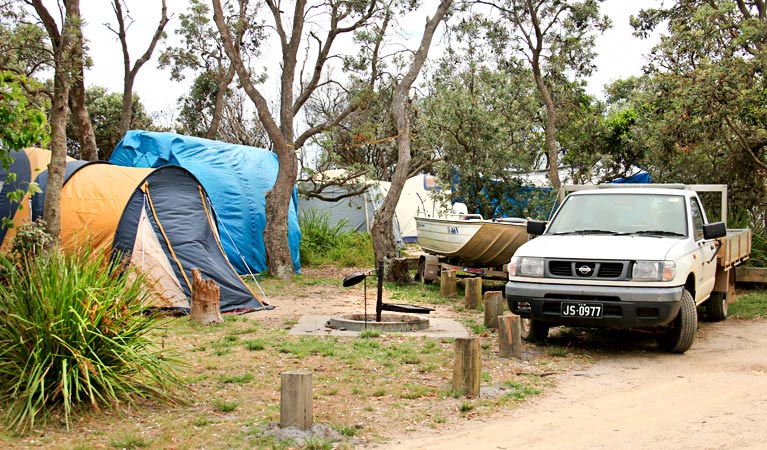 Picnic Point Campground, Mimosa Rocks National Park. Photo: John Yurasek Copyright: NSW Government