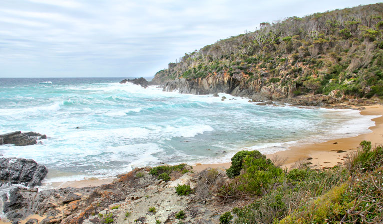 Picnic Point, Mimosa Rocks National Park. Photo: John Yurasek Copyright: NSW Government