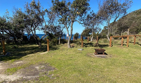 Campsite 12 with distant ocean view behind the trees at Picnic Point campground. Credit: &copy; DCCEEW
