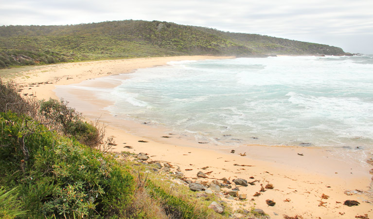 Picnic Point, Mimosa Rocks National Park. Photo: John Yurasek Copyright: NSW Government