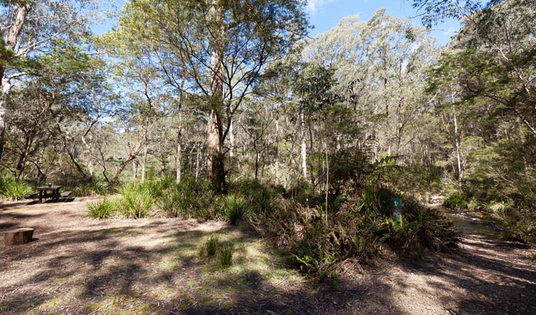 Dasyurus picnic area landscape, Monga National Park. Photo: Lucas Boyd &copy; OEH