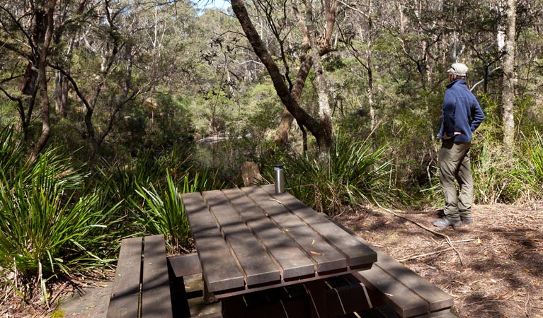 Dasyurus picnic area table, Monga National Park. Photo: Lucas Boyd &copy; OEH