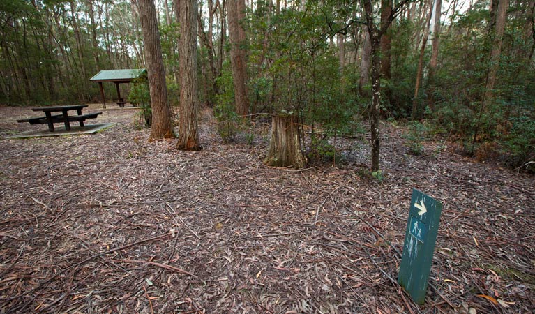 Mongalowe River picnic area access, Monga National Park. Photo: Lucas Boyd &copy; DPIE