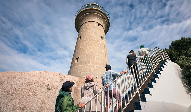 montague island lighthouse tour