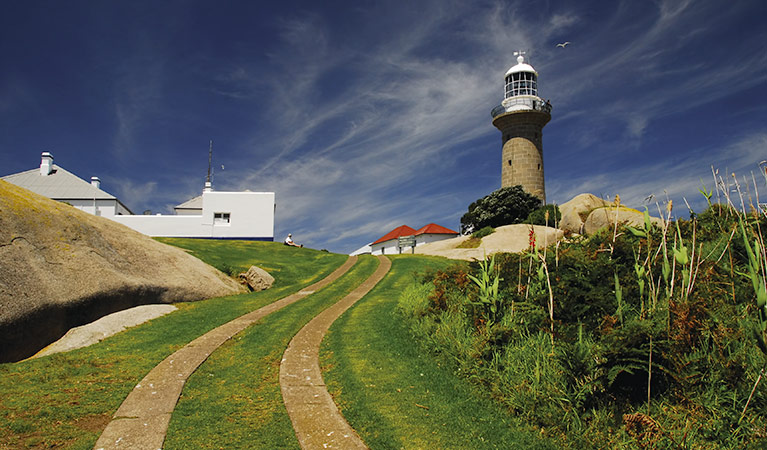 A track climbs a grassy hill towards Montague Island Lighthouse. Photo: Stuart Cohen/OEH