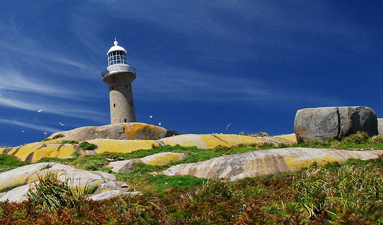 View of Montague Island Lighthouse perched among rocks on Montague Island Nature Reserve. Photo: Stuart Cohen/OEH