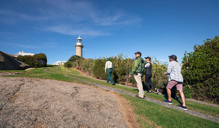 3 people follow a ranger up a steep hill with a lighthouse on a guided tour of Barunguba Montague Island Nature Reserve. Photo &copy; Daniel Tran