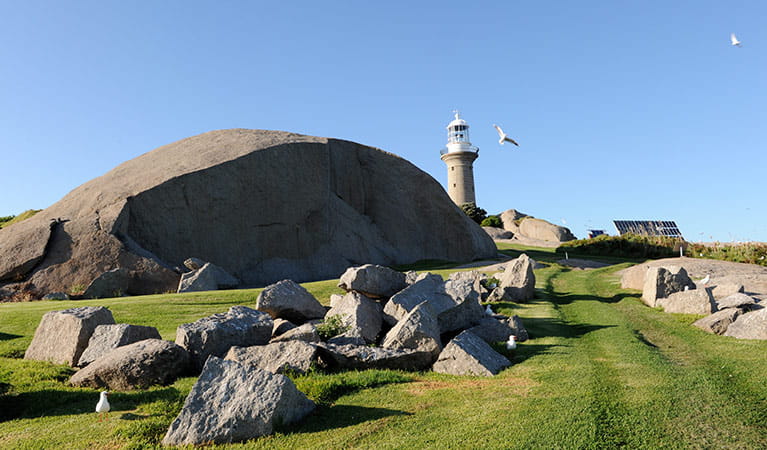 Rock formations in front of lighthouse at Montague Island Nature Reserve. Photo: Stuart Cohen &copy; OEH and photographer