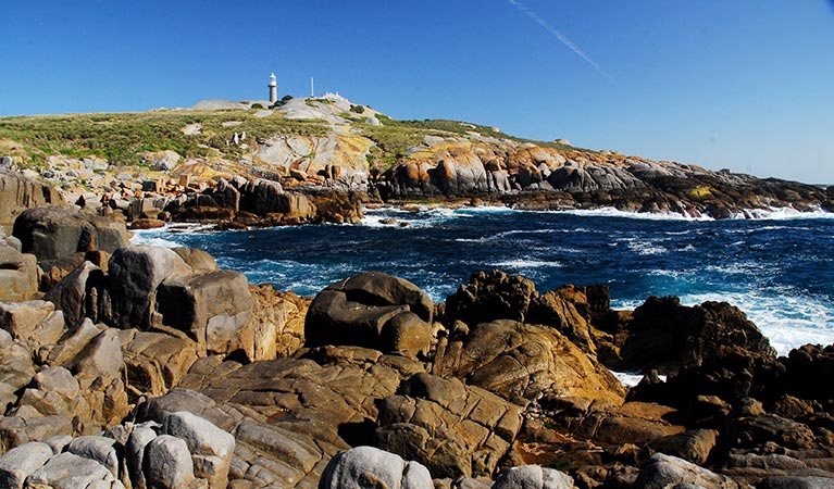 Rocky foreshore with lighthouse on hill, Barunguba Montague Island Nature Reserve. Photo: Stuart Cohen/OEH