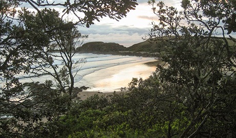 Dammerals Historical walk , Moonee Beach Nature Reserve. Photo: J.Webster