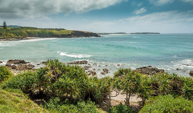 Look at me Now Headland walk, Moonee Beach Nature Reserve. Photo &copy; David Young