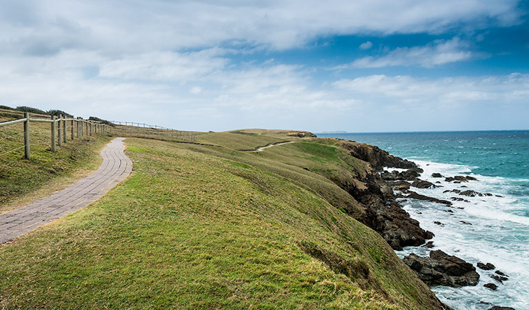 Look at me Now Headland walk, Moonee Beach Nature Reserve. Photo &copy; David Young