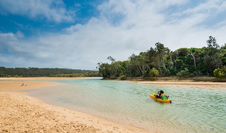 Moonee Creek, Moonee Beach Nature Reserve. Photo &copy; David Young