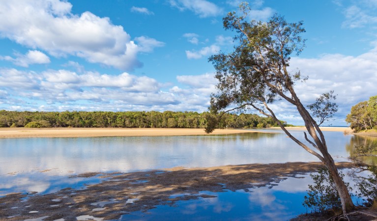 Moonee Creek in Moonee Beach Nature Reserve. Photo: Rob Cleary &copy; OEH