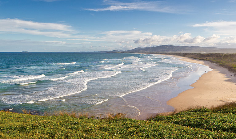 Moonee Beach Nature Reserve. Photo: Robert Cleary/OEH