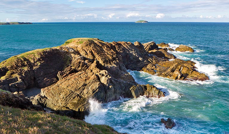 Moonee Beach Nature Reserve. Photo: Robert Cleary/OEH