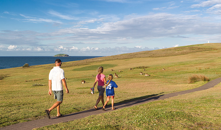 Moonee Beach Nature Reserve. Photo: Rob Cleary