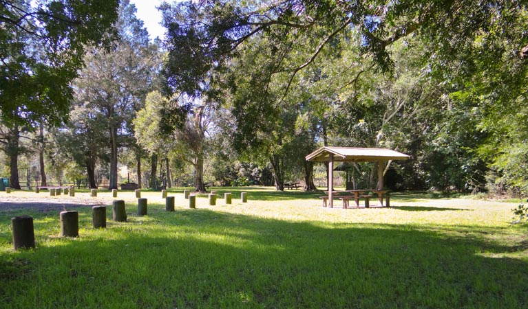 Moore Park picnic area, Moore Park Nature Reserve. Photo: OEH