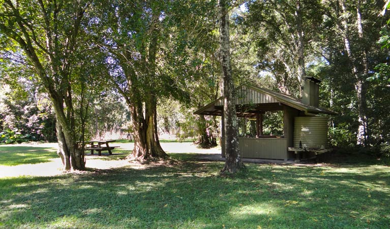 Moore Park picnic area, Moore Park Nature Reserve. Photo: OEH