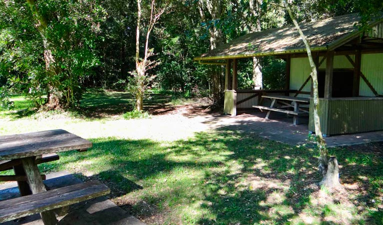 Moore Park picnic area, Moore Park Nature Reserve. Photo: OEH