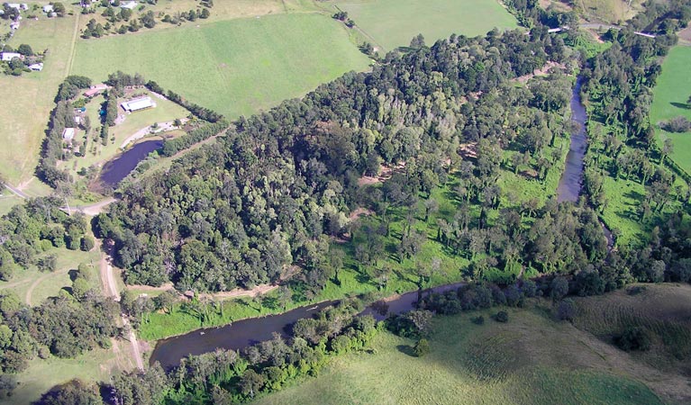 Moore Park Nature Reserve. Photo: Stephen King/NSW Government