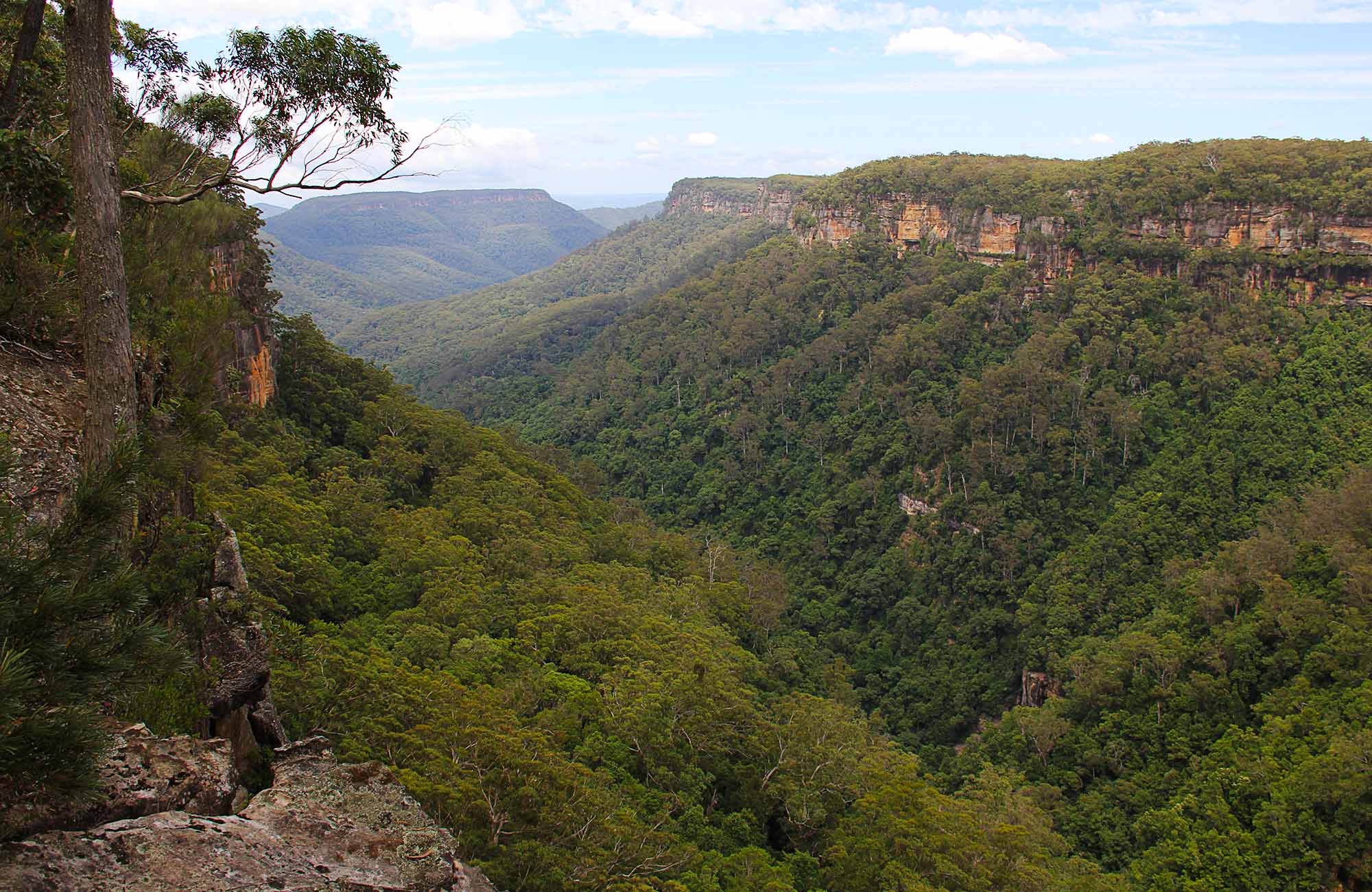 A view looking along the valley and rocky cliffs. Photo:John Yurasek