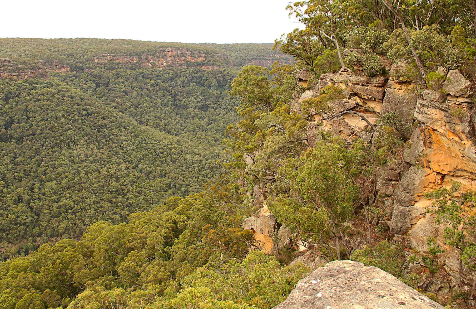 The view of a rocky cliff down the valley. Photo:John Yurasek