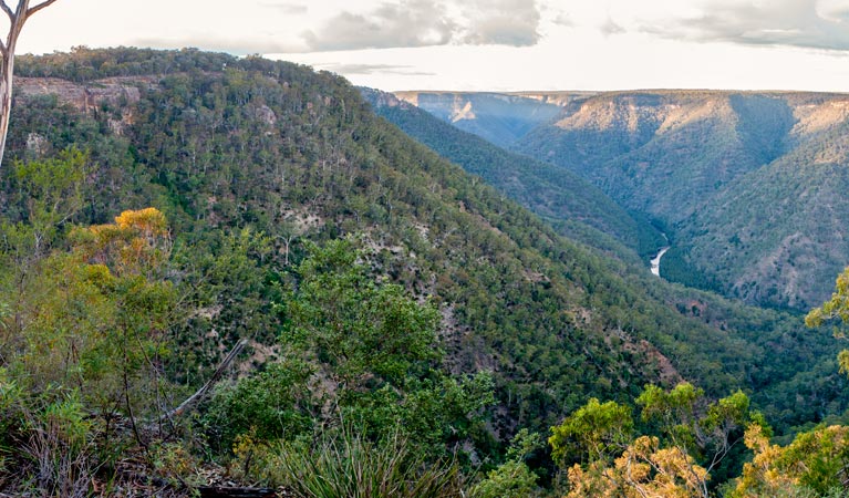 Badgerys Spur walking track, Morton National Park. Photo: Michael van Ewijk &copy; OEH