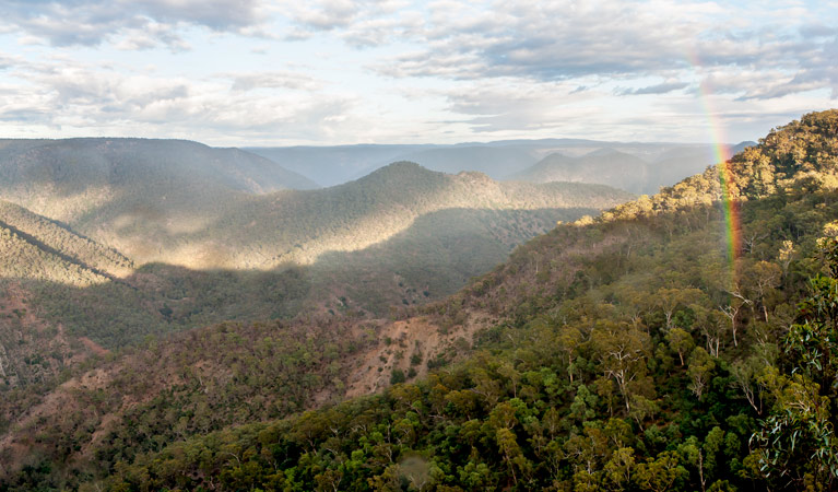 Badgerys Spur walking track, Morton National Park. Photo: Michael van Ewijk &copy; OEH