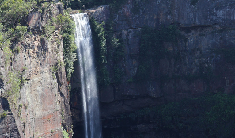 View of Belmore Falls from Belmore Falls lookout. Photo: John Yurasek &copy; OEH