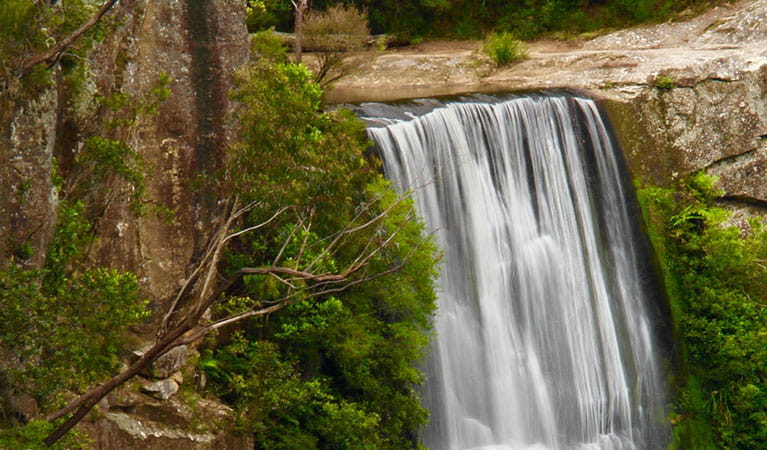 Belmore Falls, Morton National Park. Photo: Nathaniel L. Tolentino 