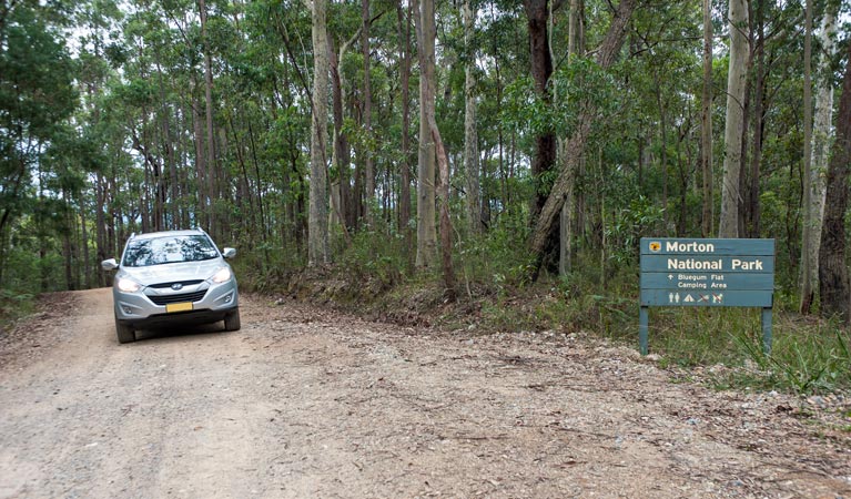 Blue Gum Flat campground, Morton National Park. Photo: Michael van Ewijk/NSW Government