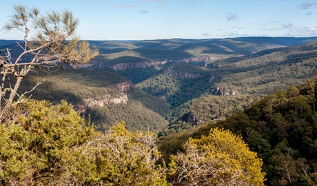 View from Beauchamp Cliffs lookout past scrub vegetation to Morton National Park wilderness. Photo: Michael Van Ewijk &copy; DPIE.