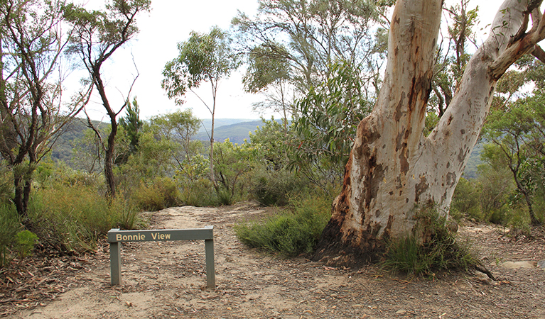 Sign for Bonnie View lookout, set in native bushland in Morton National Park. Photo: John Yurasek &copy; DPIE.