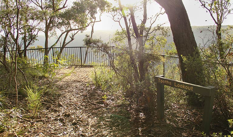 Bundanoon Creek walking track, Morton National Park. Photo: John Yurasek &copy; OEH