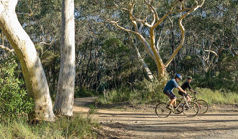 Bundanoon cycling route, Morton National Park. Photo: Michael Van Ewijk