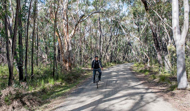 Bundanoon cycling route, Morton National Park. Photo: Michael Van Ewijk