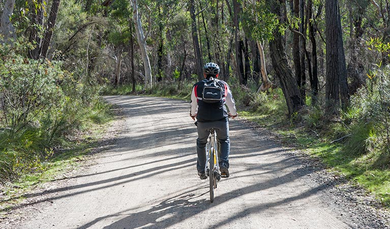 Bundanoon cycling route, Morton National Park. Photo: Michael Van Ewijk