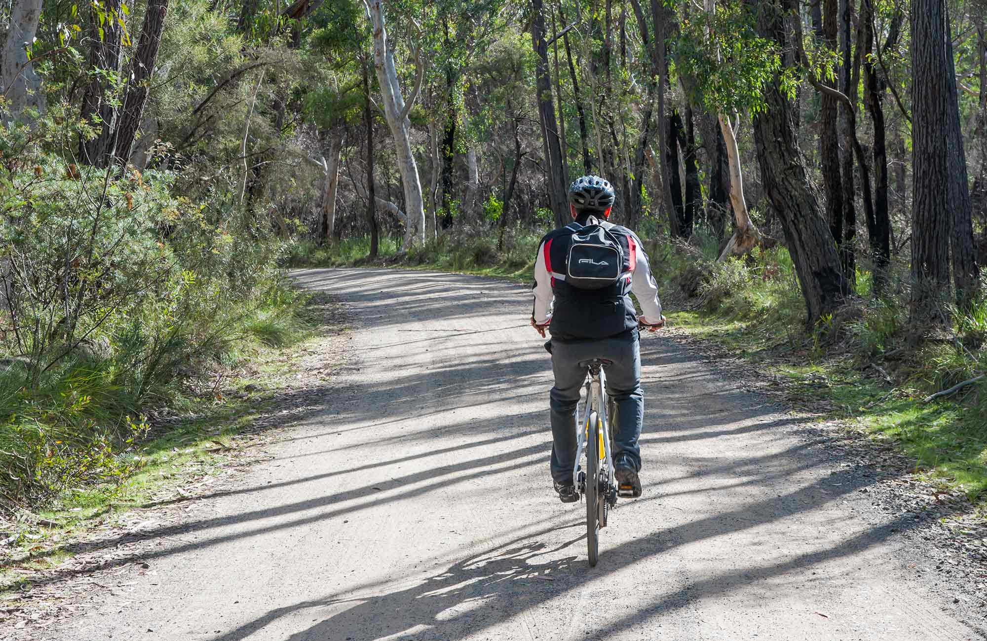Bundanoon cycling route, Morton National Park. Photo: Michael Van Ewijk