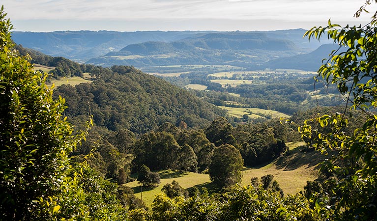 Coast to the Highlands scenic drive - Kangaroo Valley, Morton National Park. Photo: Michael Van Ewijk