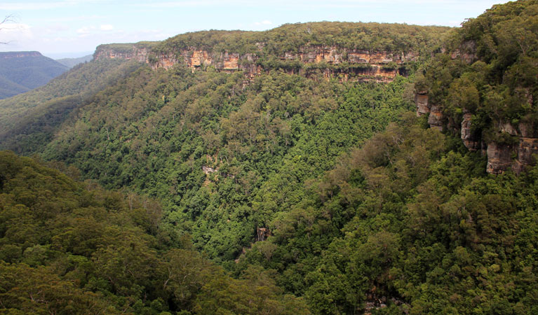 View from East Rim Wildflower walk. Photo: John Yurasek &copy; OEH