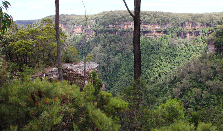 View from the East Rim Wildflower walk. Photo: John Yurasek &copy; OEH