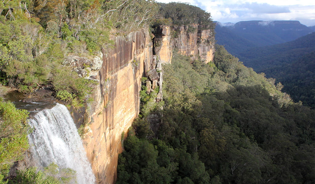 The view from Fitzroy Falls lookout in Morton National Park. Photo credit: Geoffrey Saunders &copy; DPIE