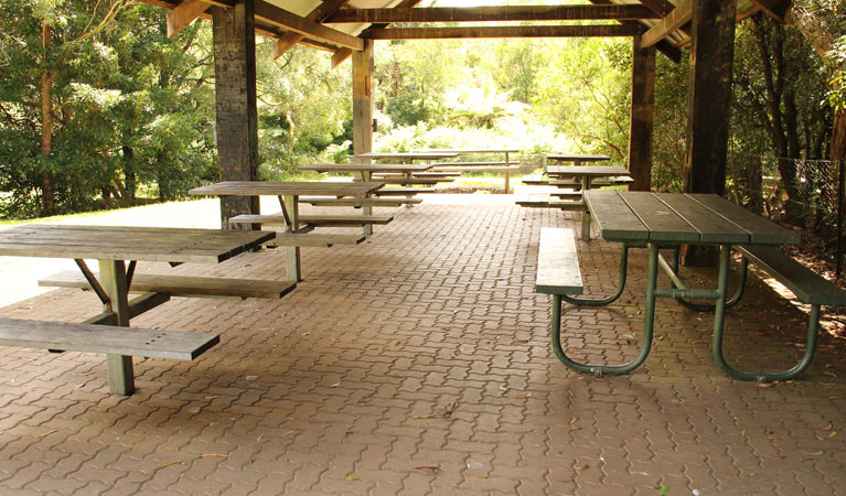 Fitzroy Falls picnic area, Morton National Park. Photo: John Yurasek/NSW Government