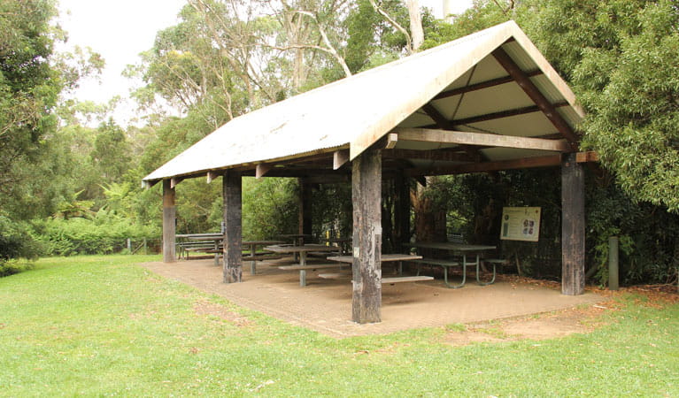 Fitzroy Falls picnic area, Morton National Park. Photo: John Yurasek/NSW Government