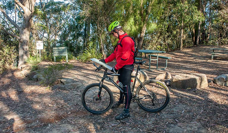 Fitzroy Falls to Kangaroo Valley cycling route, Morton National Park. Photo: Michael Van Ewijk