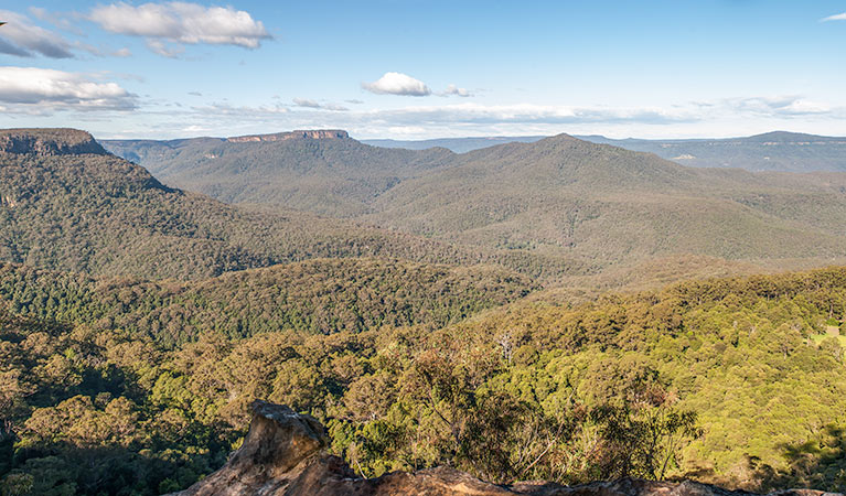 Fitzroy Falls to Kangaroo Valley cycling route, Morton National Park. Photo: Michael Van Ewijk