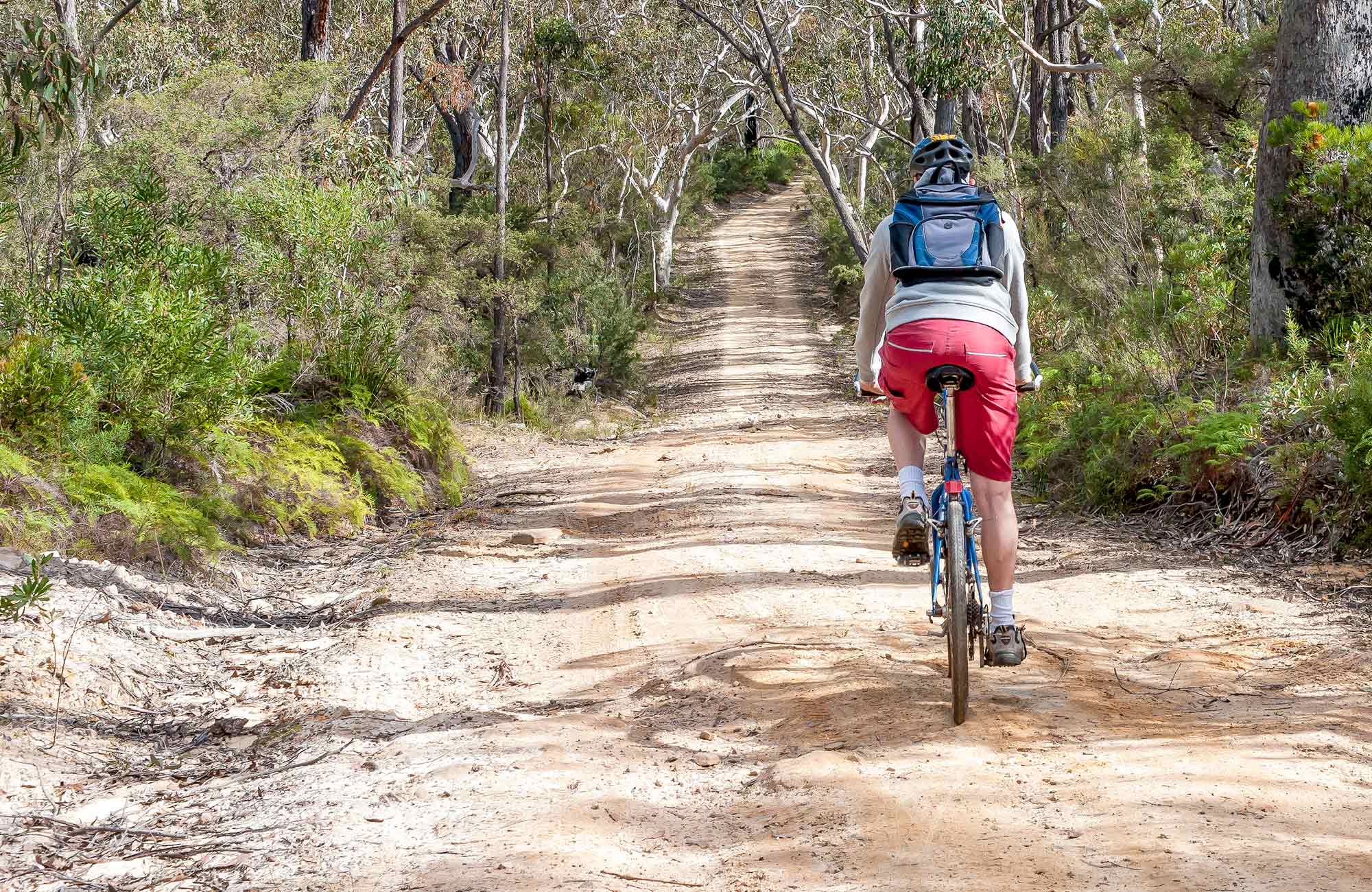 Fitzroy Falls to Kangaroo Valley cycling route, Morton National Park. Photo: Michael Van Ewijk