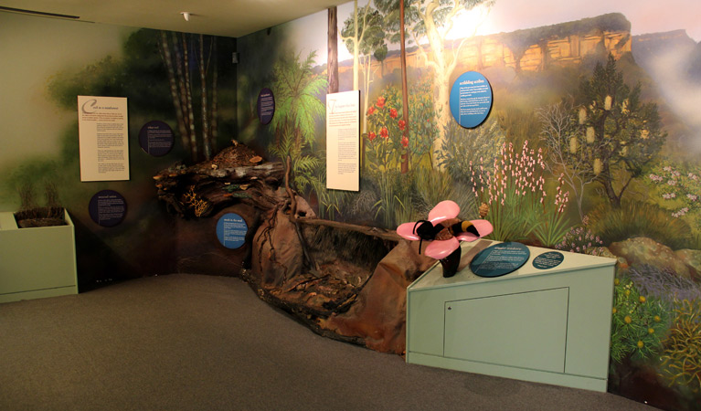 Fitzroy Falls Visitor Centre, Morton National Park. Photo: John Yurasek &copy; OEH